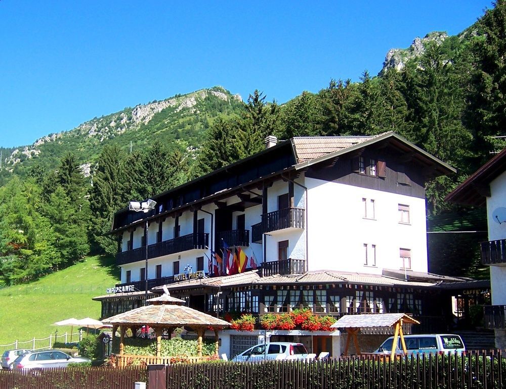 Hotel Pineta カスティオーネ・デッラ・プレゾラーナ エクステリア 写真